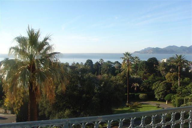 Claire Deluxe * Cannes