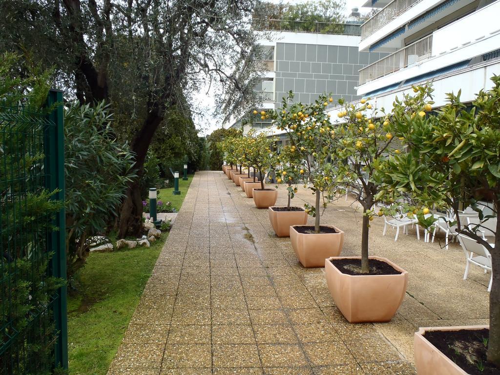 Le Vera Cannes