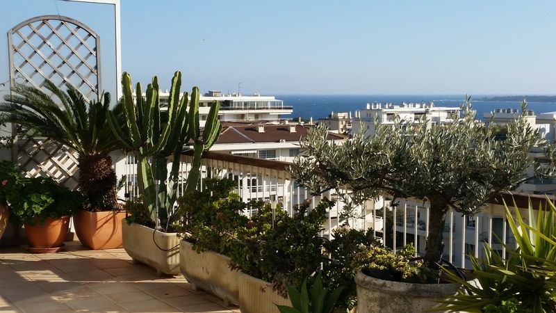 Croisette 79 Apartment *
