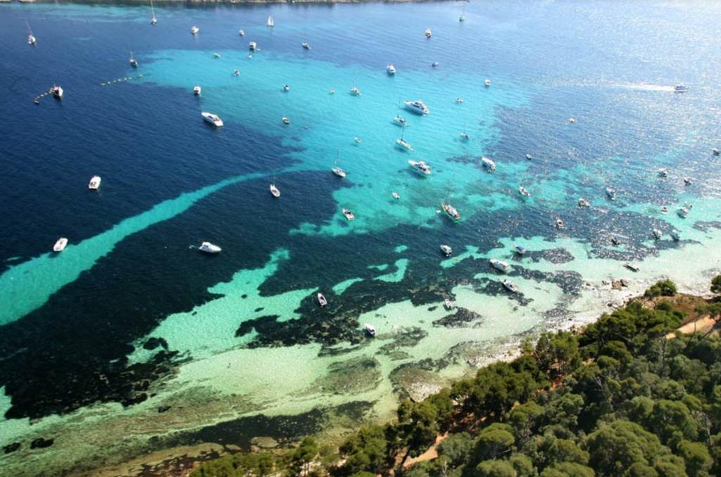 Catamaran And Special Events Botel Cannes