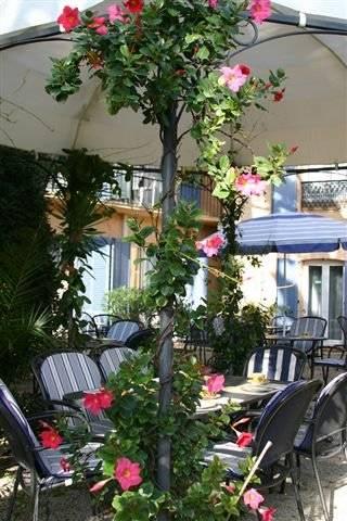 L'olivier - Piscine&parking Hotel Cannes