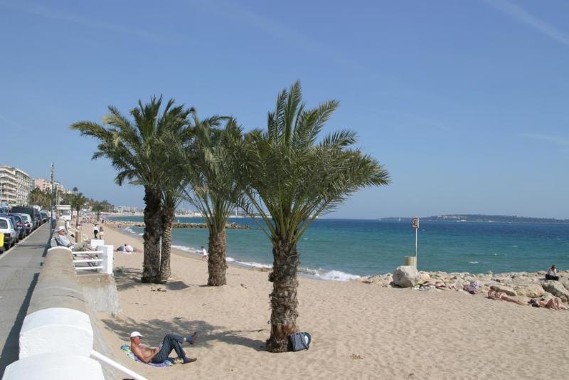 Appartement Le Vieux Port *