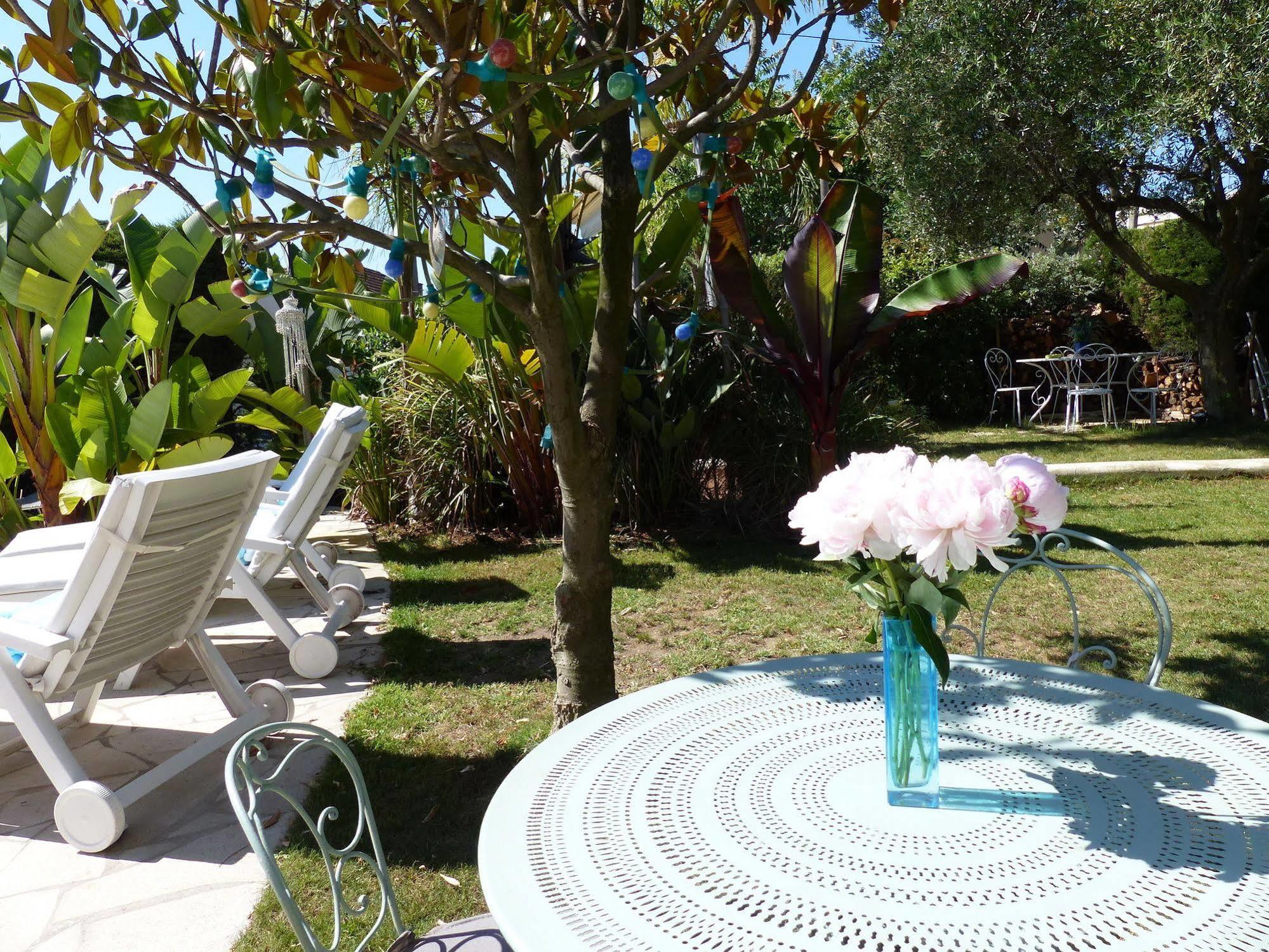 Blue Dream Guest house Cannes