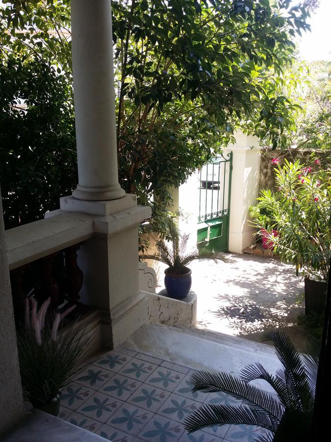 Reine, Rc Jardin * Cannes