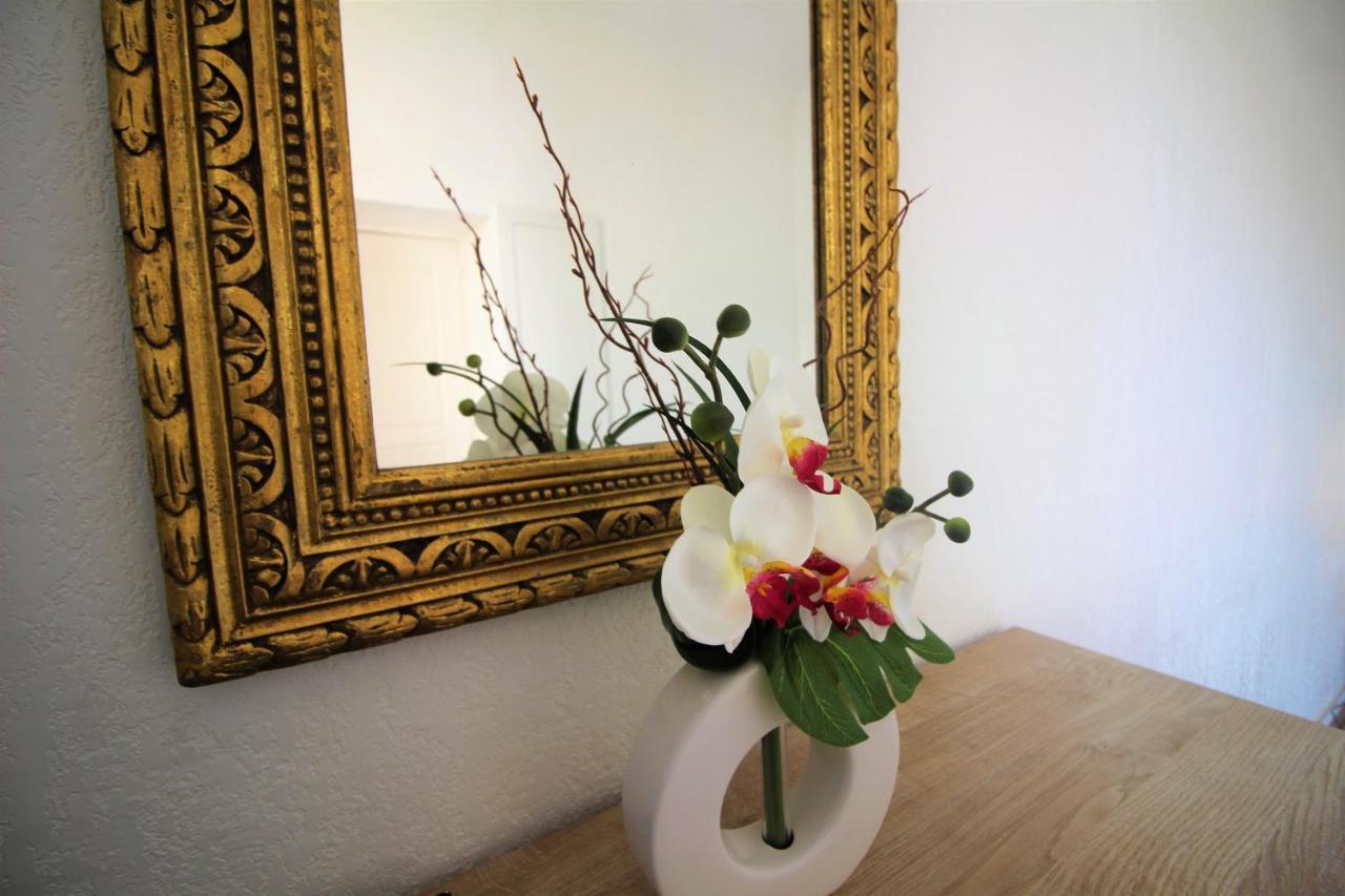 Conseil Immo - 1 Chambre, Zone Semi Pietonne -tol- Apartment