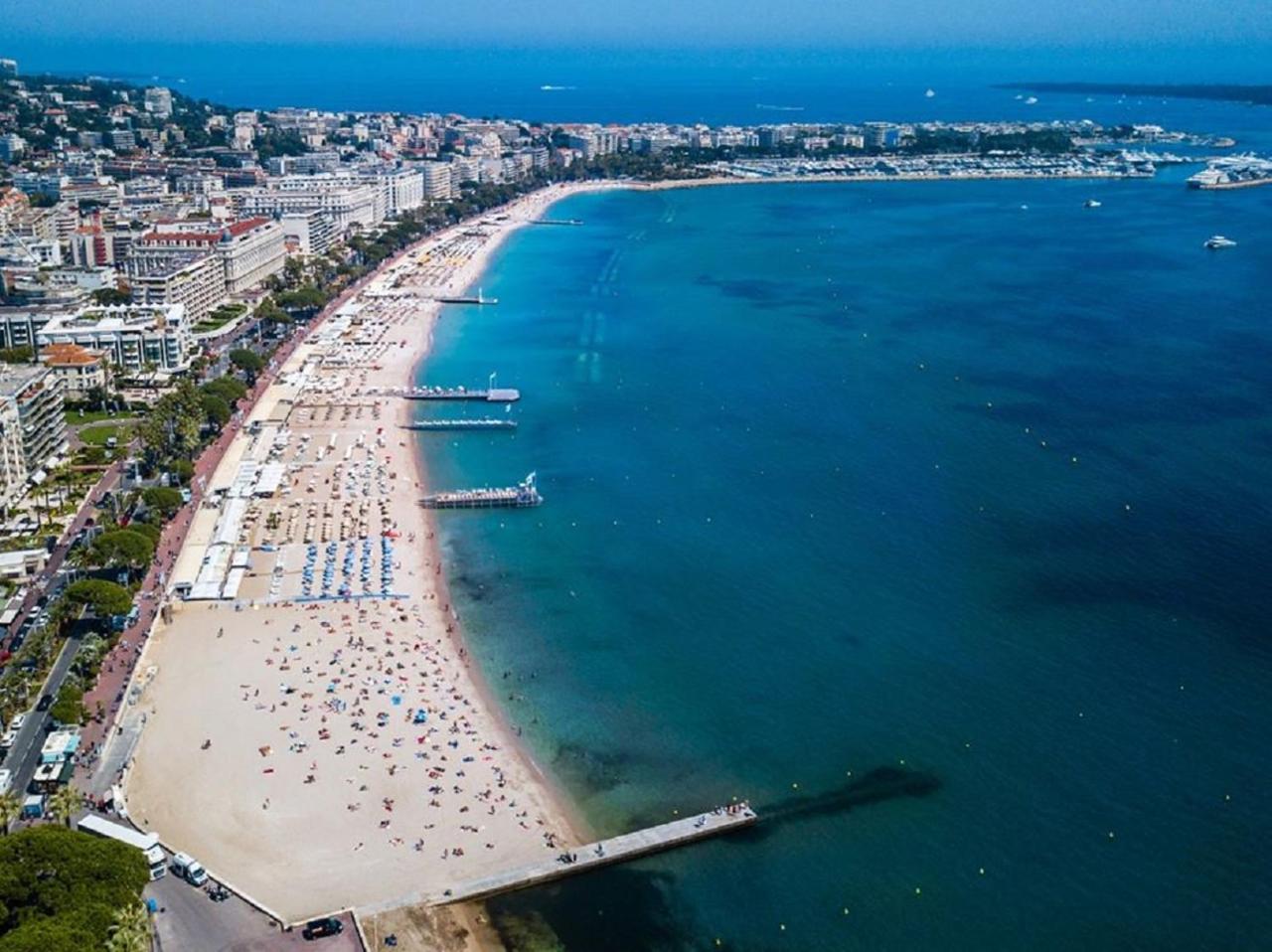 Design Vue * Cannes