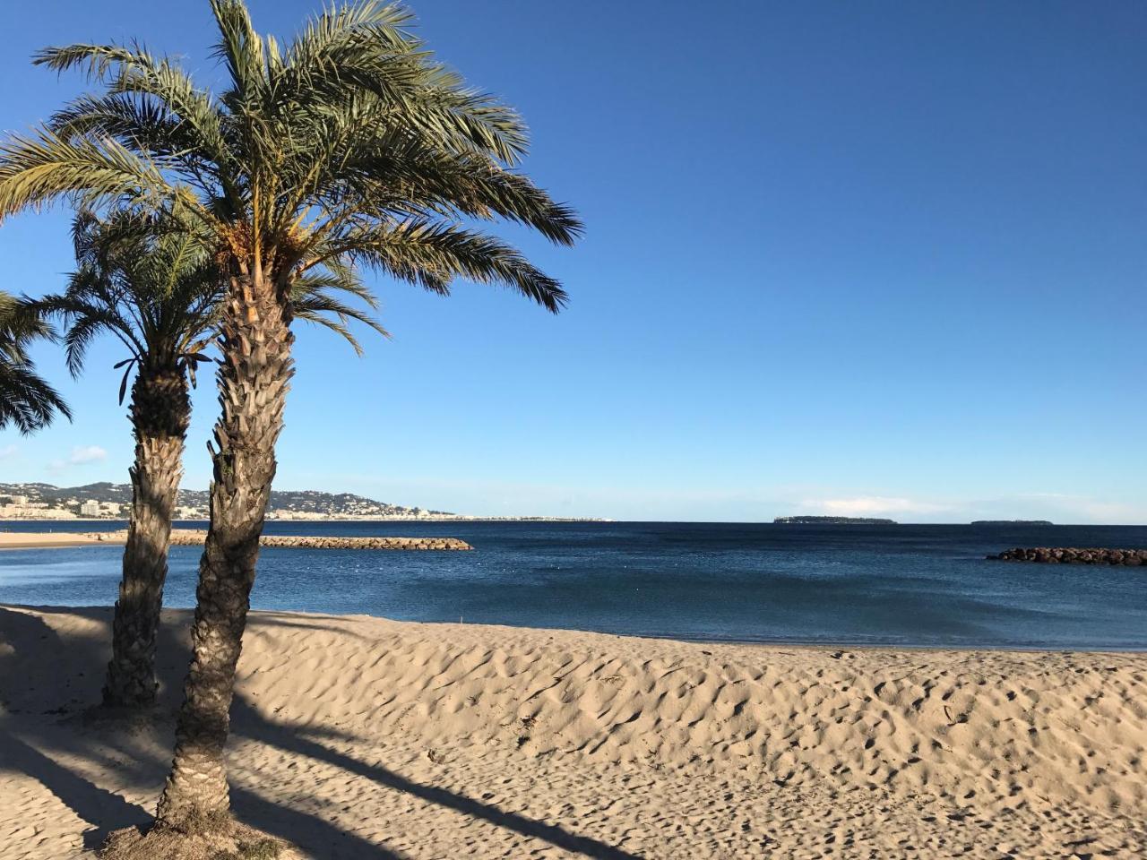 Cannes, La Palme D'or Cannes