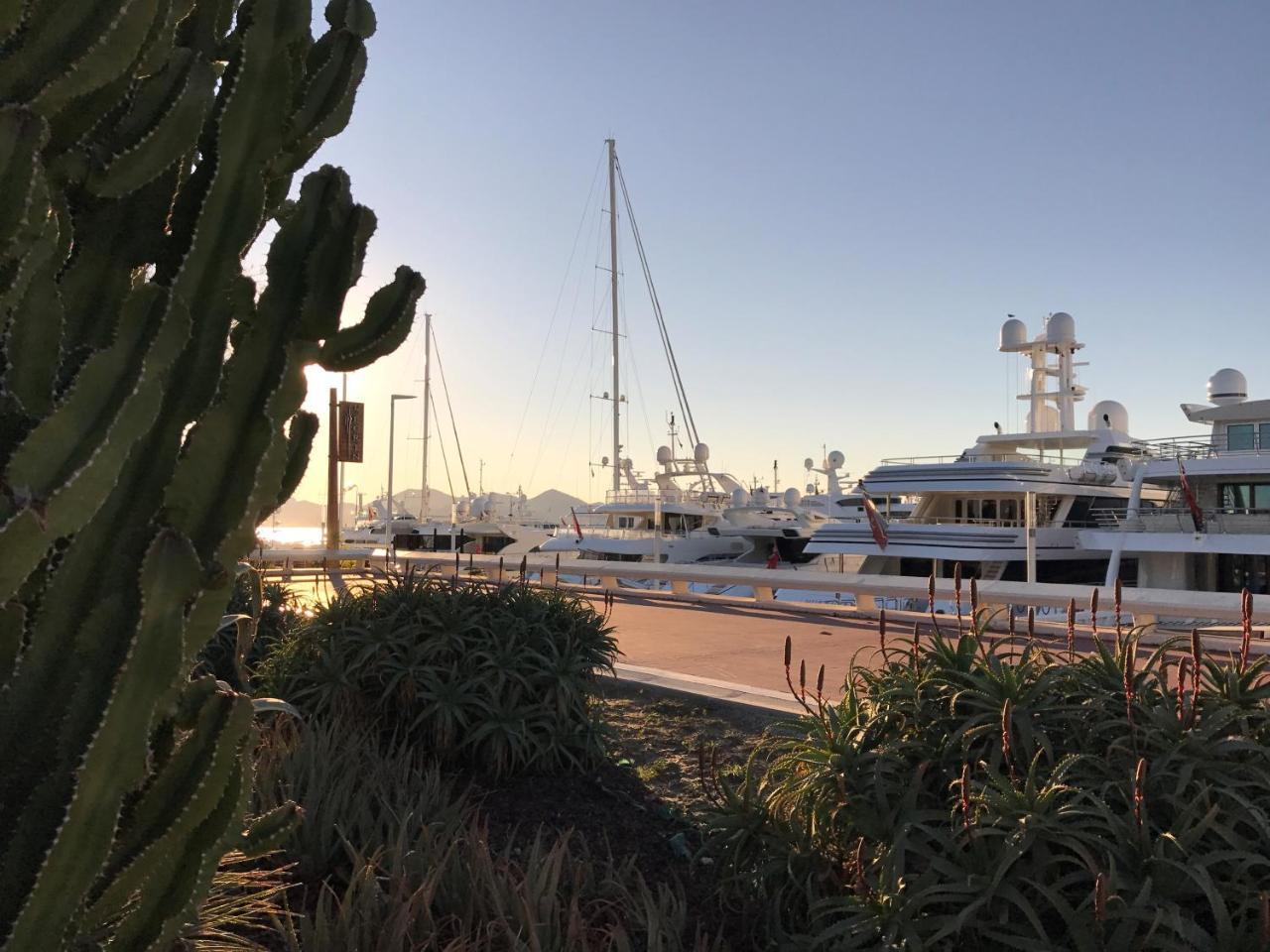 Apartment Cannes, La Palme D'or Cannes