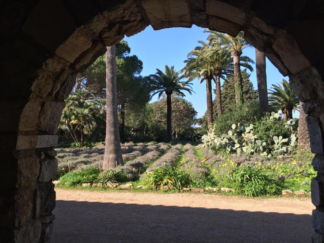 Cannes, La Palme D'or Cannes