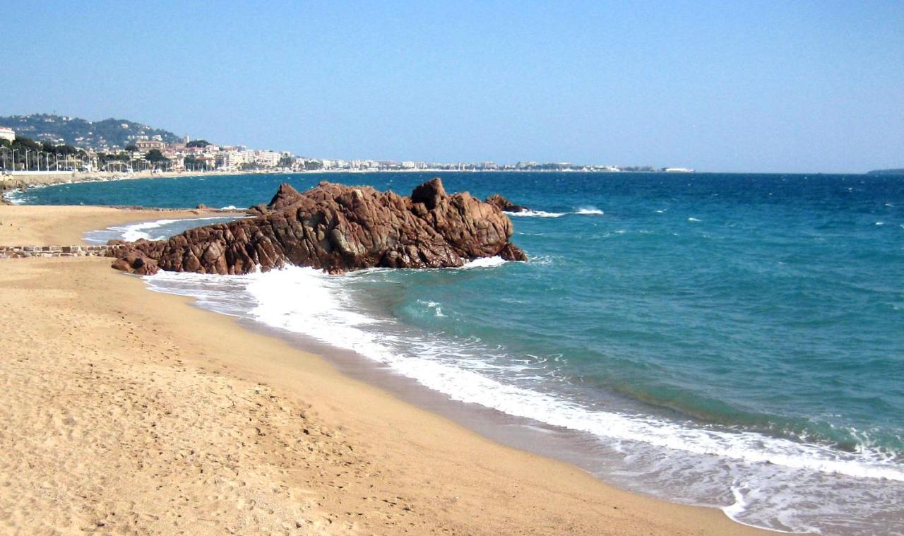 Cannes, La Palme D'or