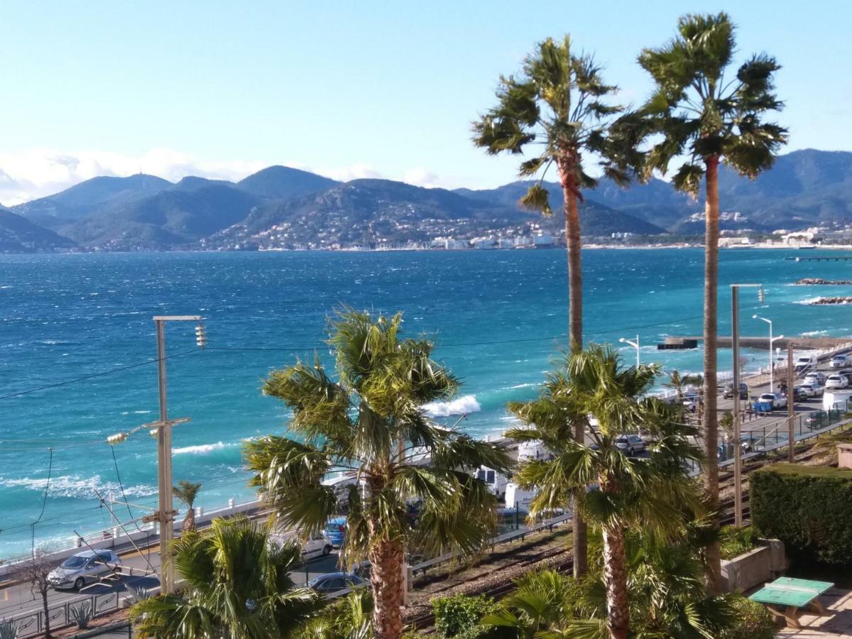 Conciergerie Bianca Cannes