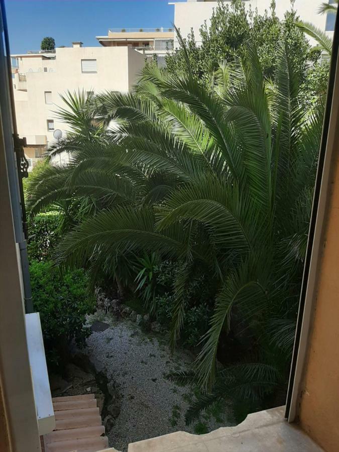 L'olivier - Piscine&parking