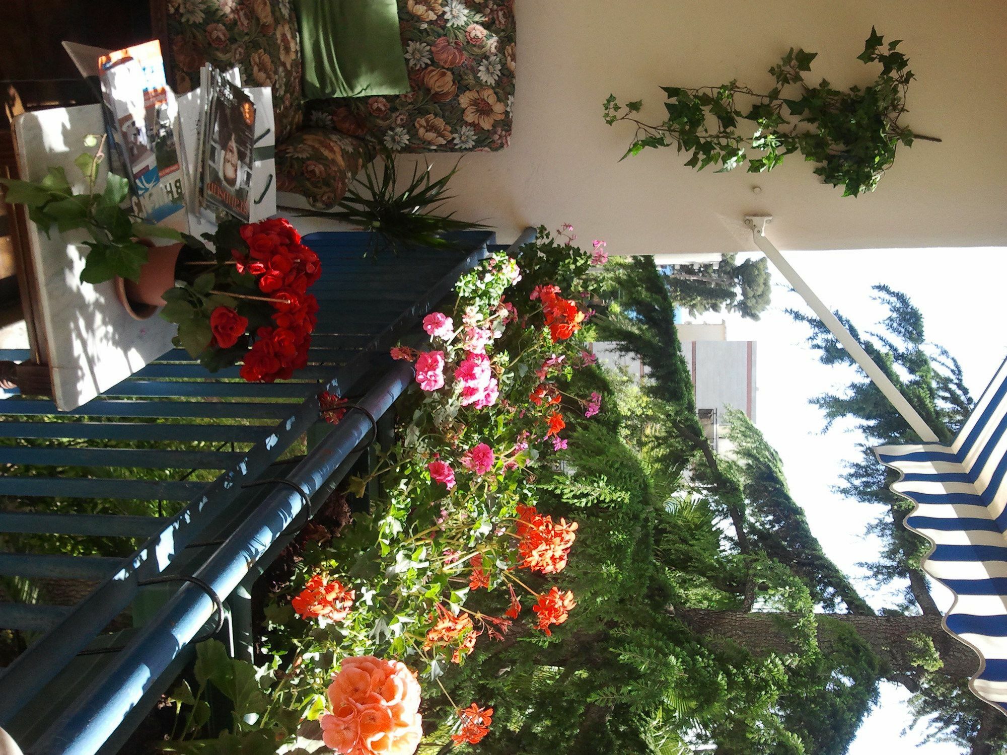 Apartment Holiday Or Congress, Centre - Beach