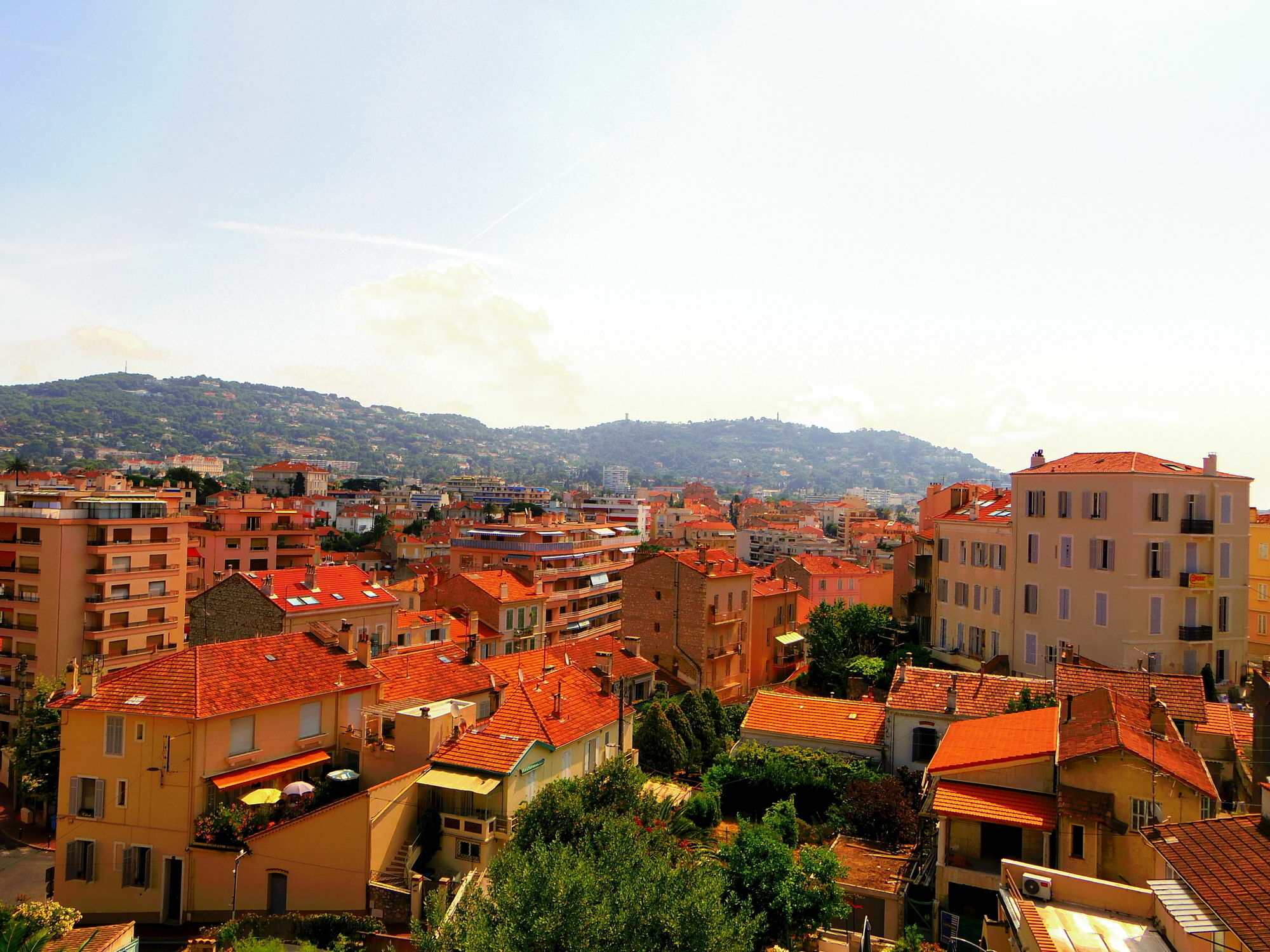 Delaup Apartment Cannes