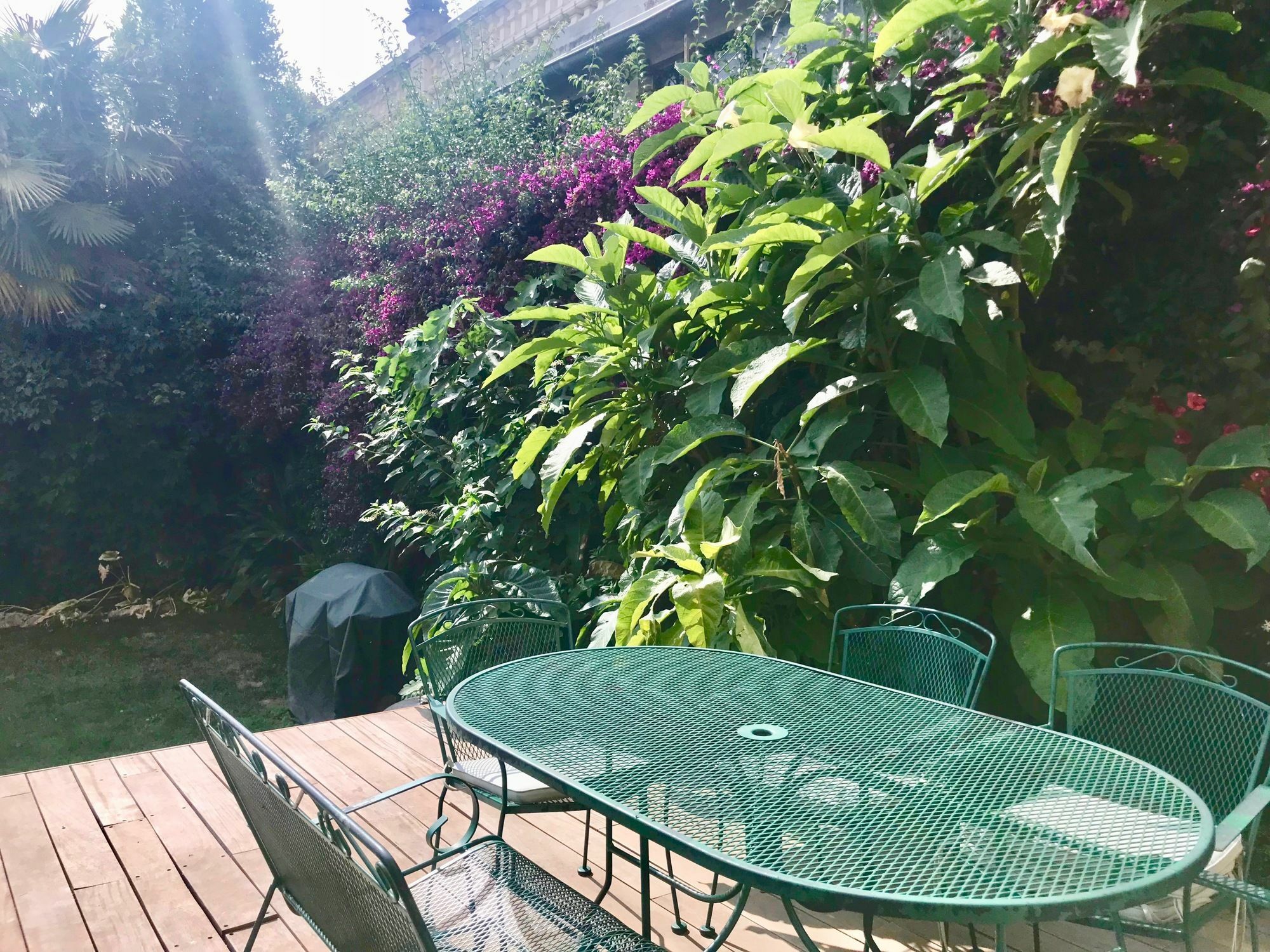 Les Mimosas *