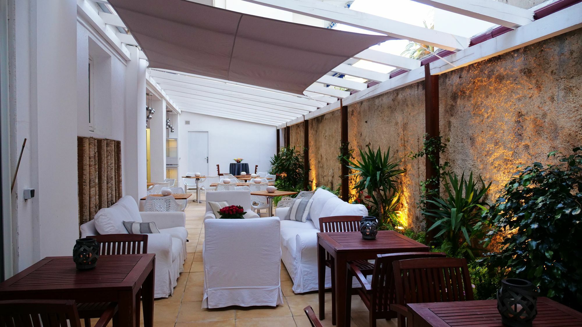 Palm Cannes