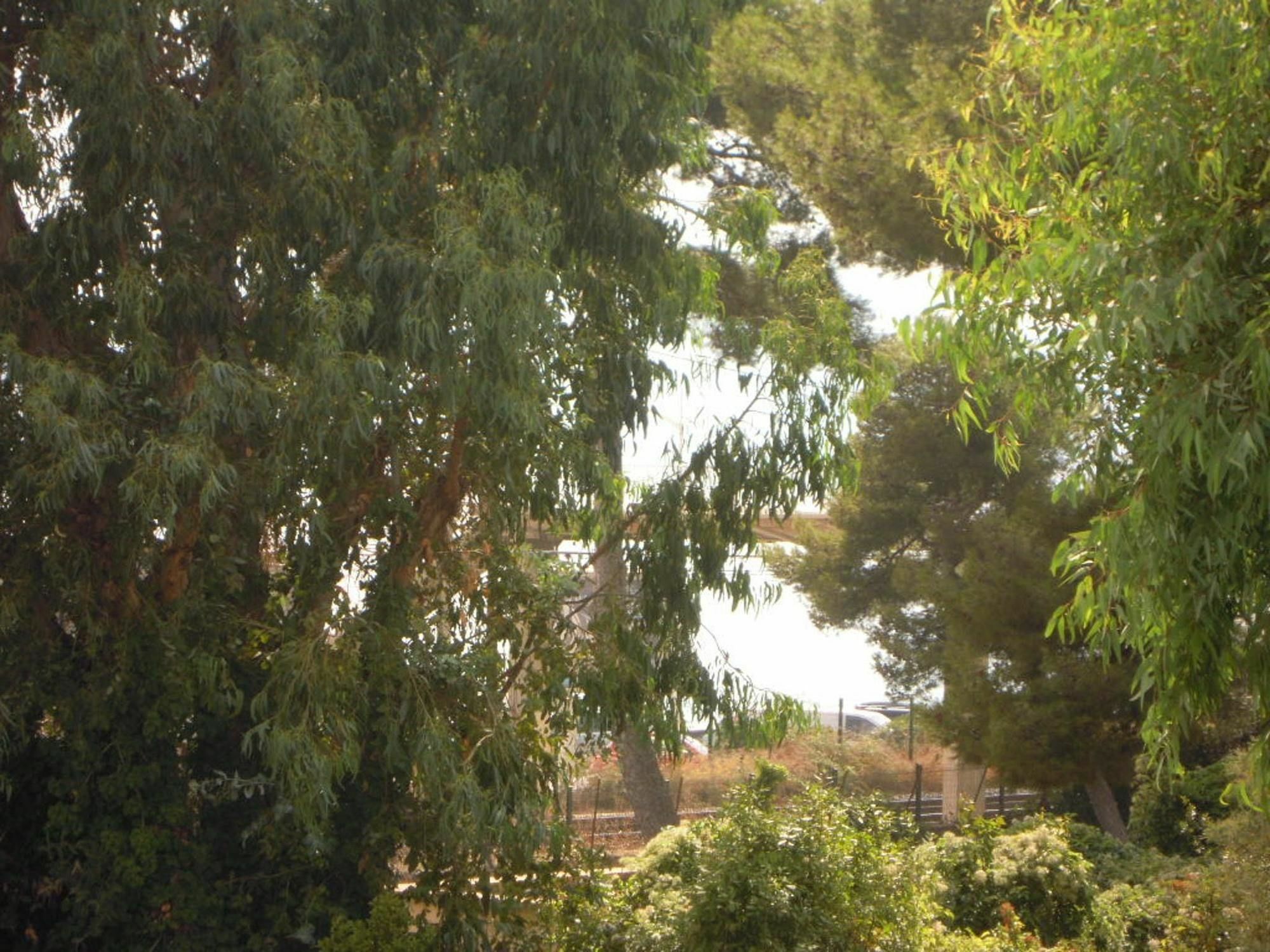 With 2 Bedrooms In Cannes, With Wonderful Sea View, Furnishe Apartment Cannes