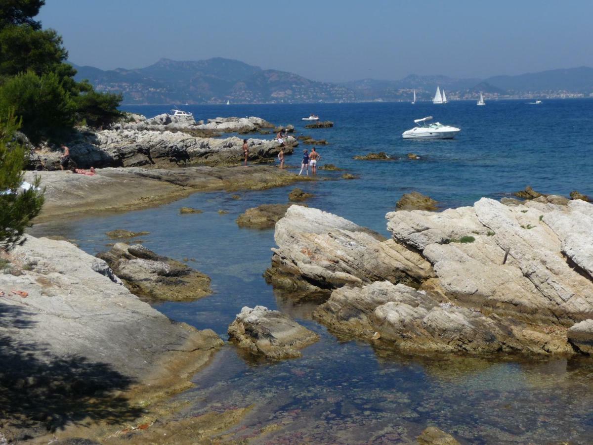 Centre Cannes, Logement Rénové Rue Piétonne, Proche Plage Et Palais Festival *