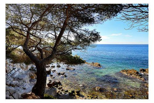 Apartment Suquet26
