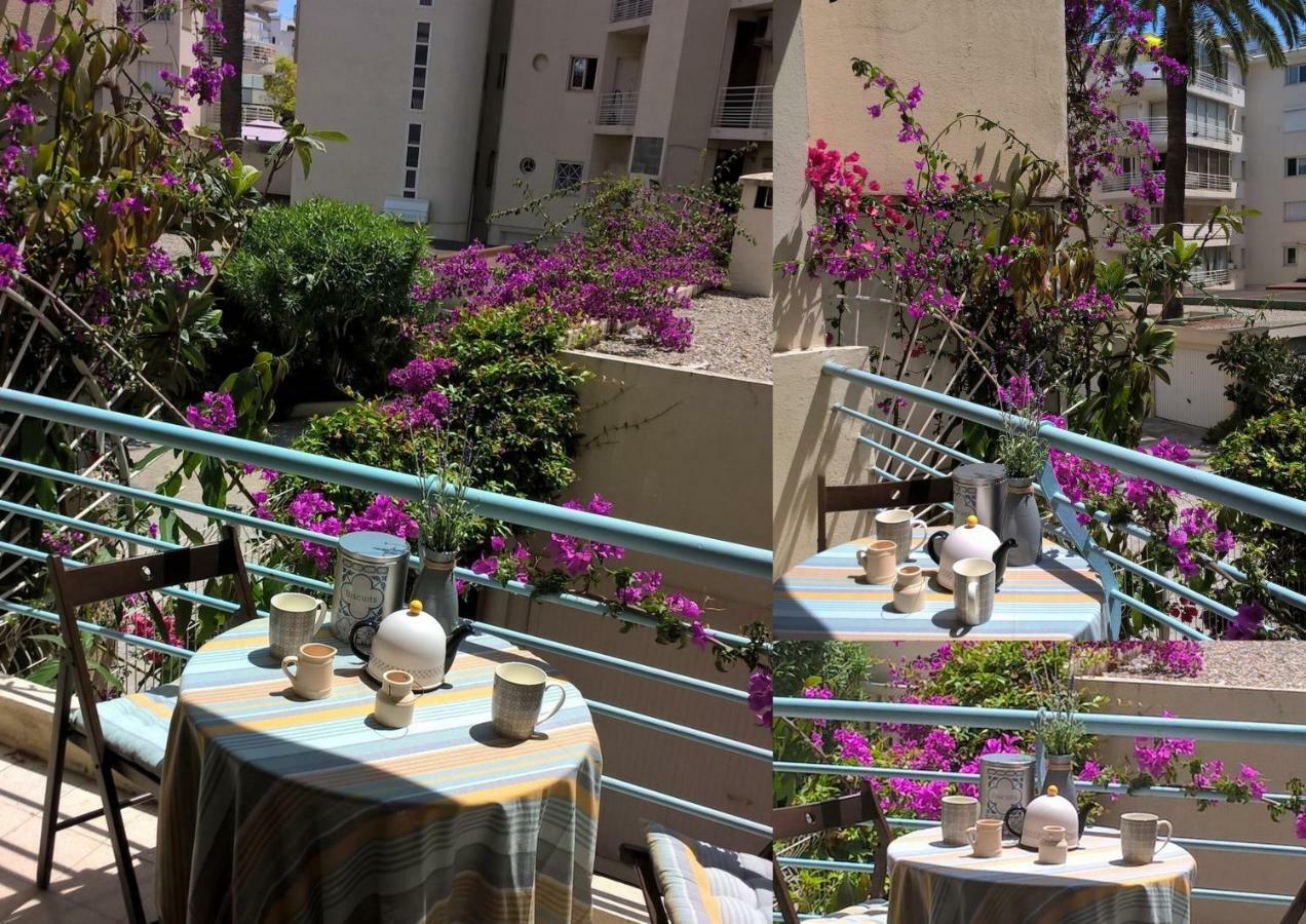 Le Petit Magellan Apartment *