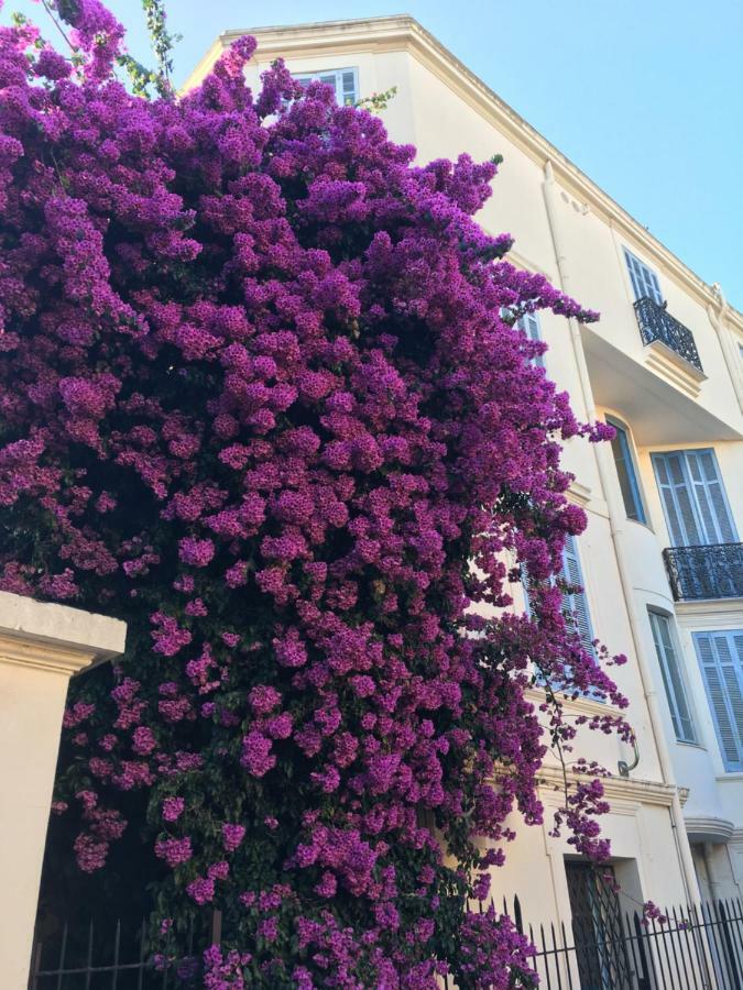 Amazing Center * Cannes