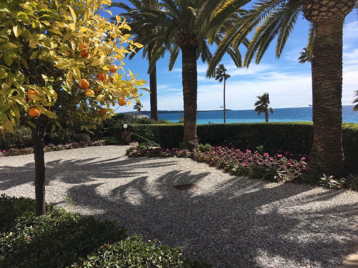 Appartement Azur Cannes