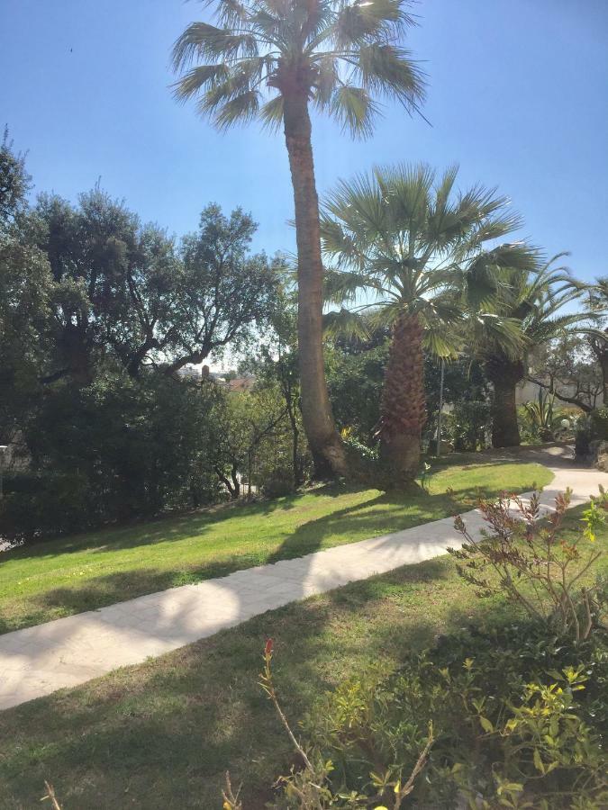 Apartment Studio Alexandra Palace Cannes