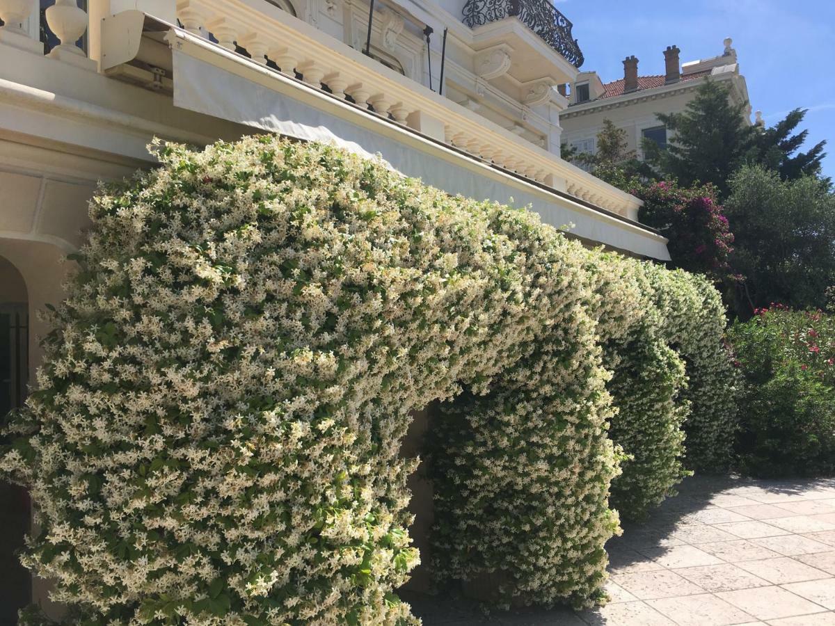L'abri Villa Cannes