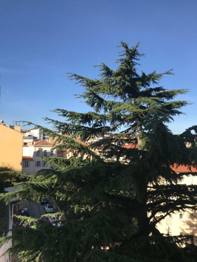 Apartment Sergent Gazan Cannes