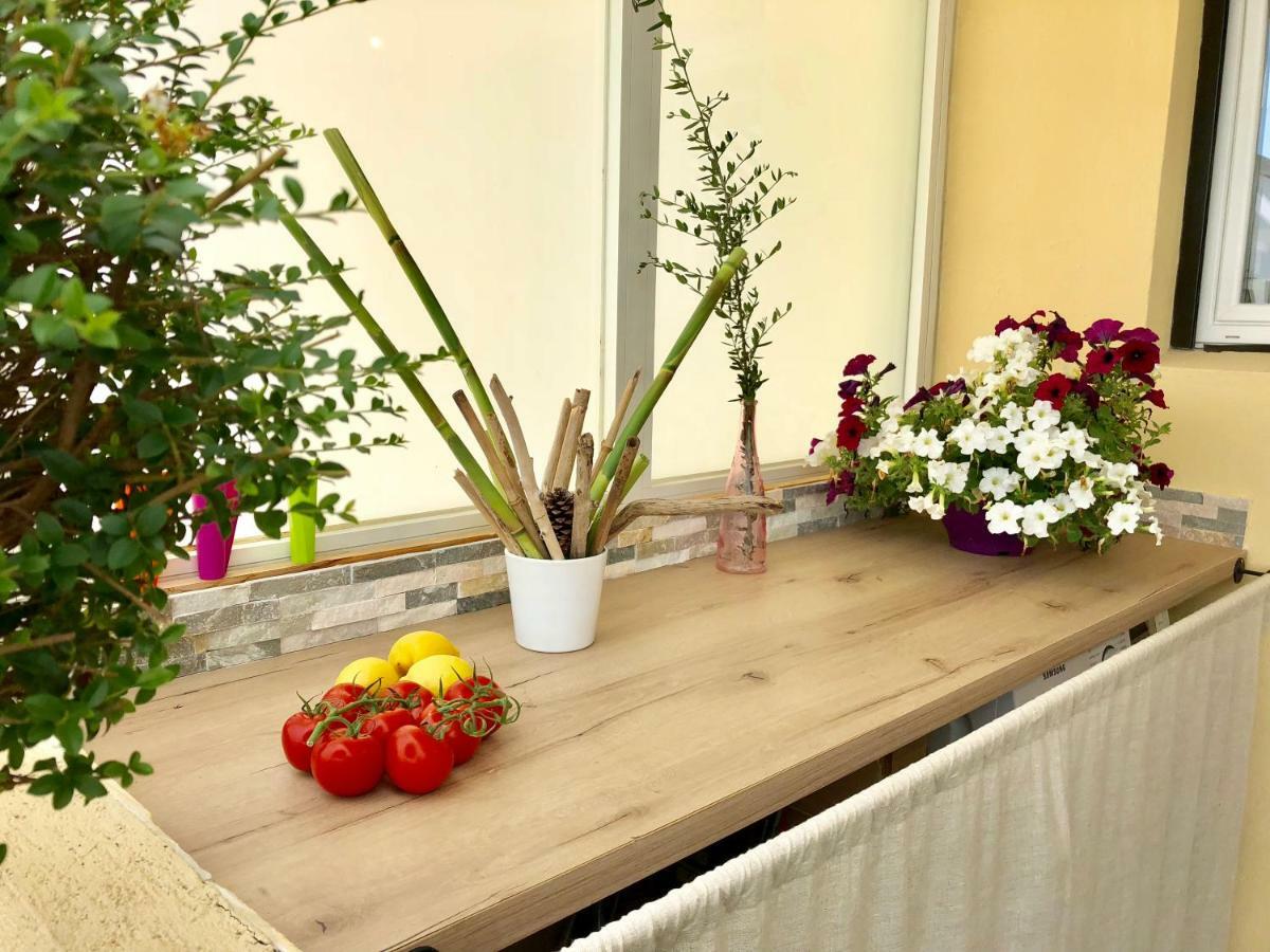 Cosy Calme Central-terrasse Proche Palais Apartment