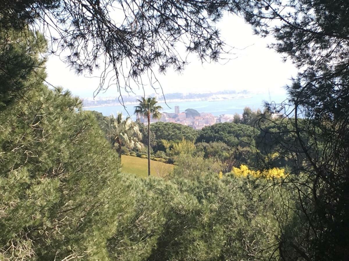 Barri Cannes