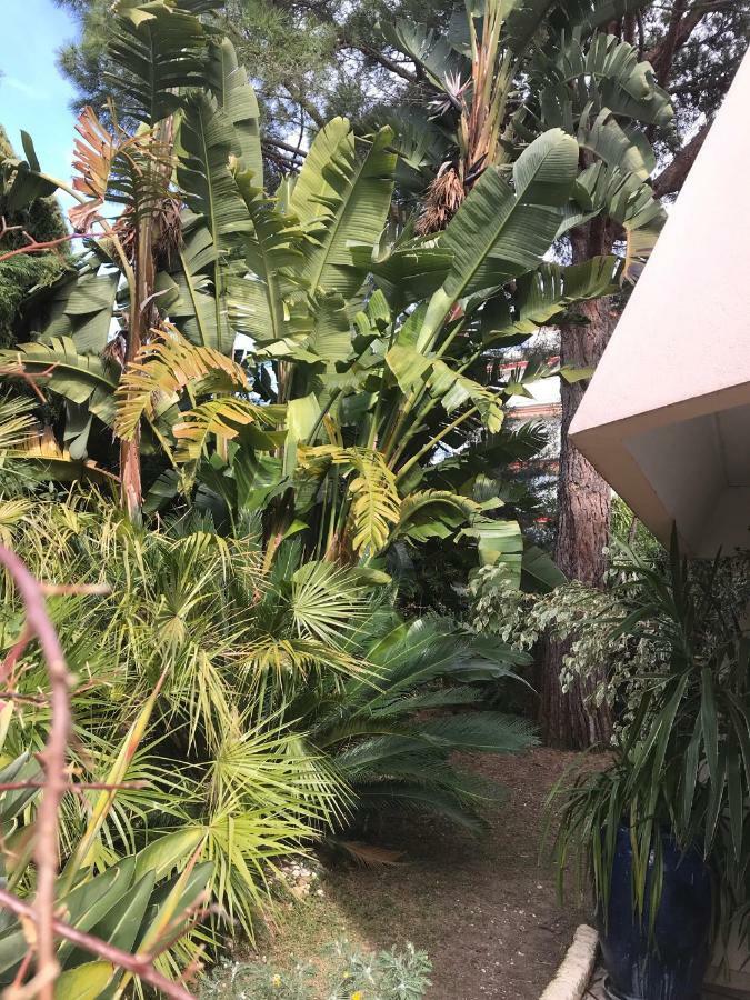 Appartement 19 Rue Du Parc Alexandre Iii