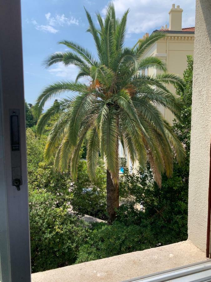 Choice Dispo Centre 2 Terrasses 2 Chbres 6p Parking Prive *