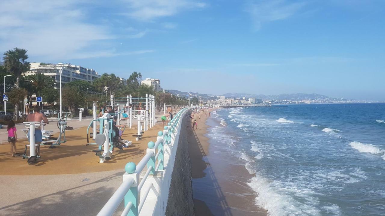 T2 Rez De Jardin Front De Cannes