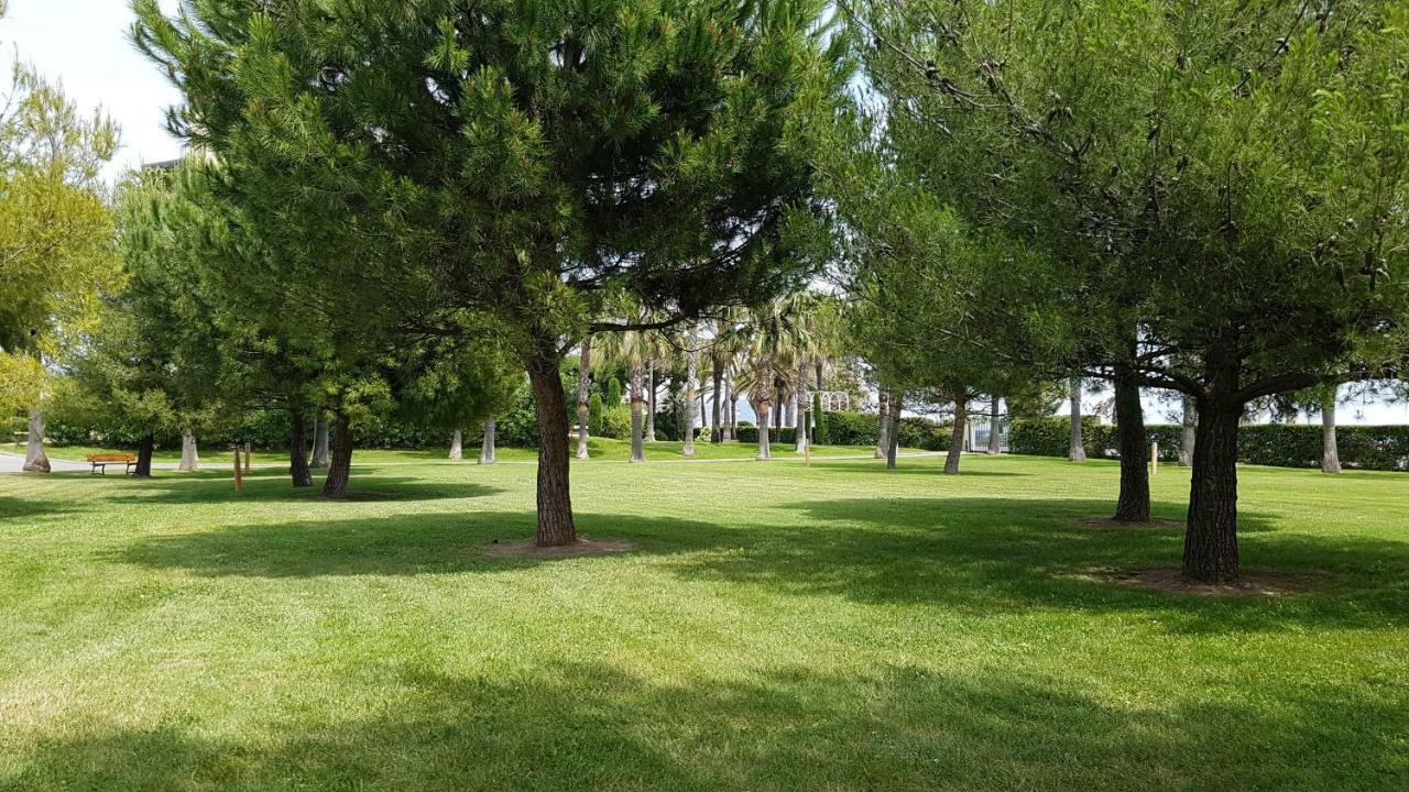 Apartment T2 Rez De Jardin Front De Cannes