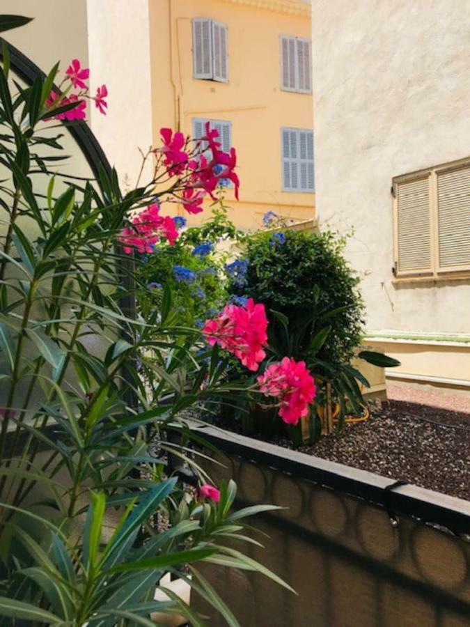 Apartment Unique: Studio+terrasse Coeur De Et Plages Cannes