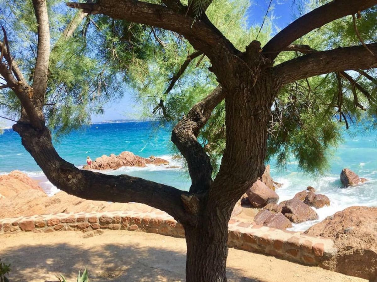 Zen Sea View In Front X2 Pools-ac-clim-wifi-free Parking Inside Apartment *