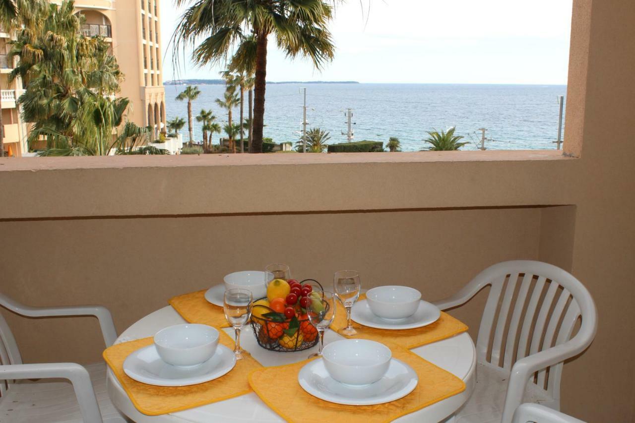 Palm D'azur