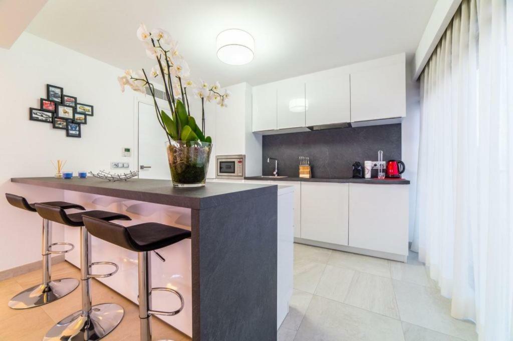 7 Croisette Apartment
