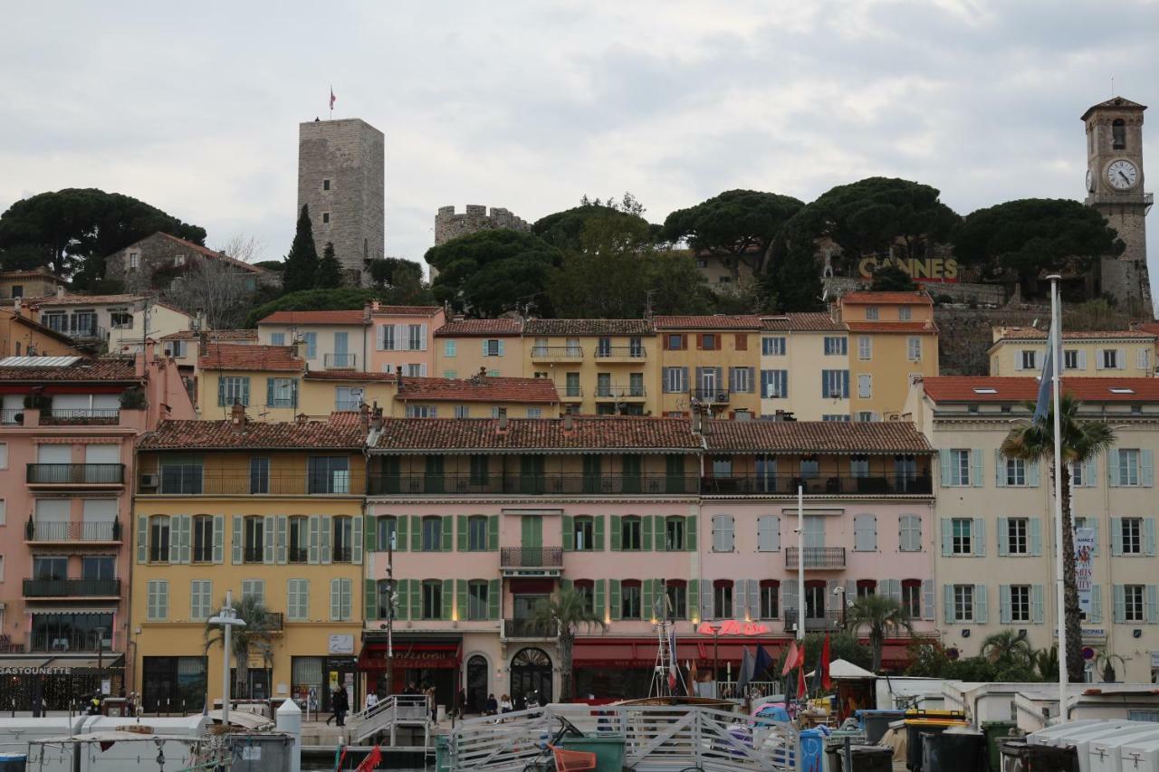 Palm D'azur