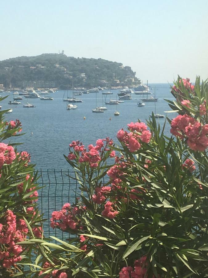 Lisa V * Cannes