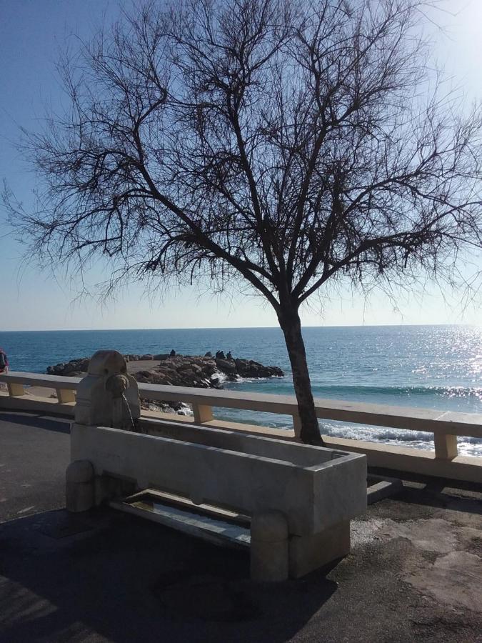 A 2 Pas Du Palais * Cannes