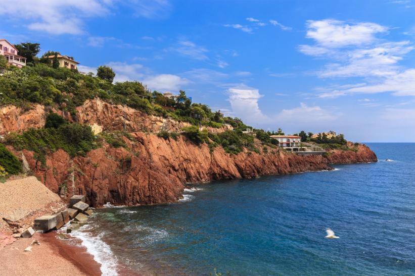 3 Garden Pool Parking 2 Min By Car Cannes