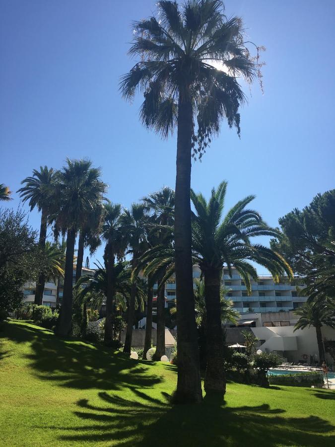 Tres Beau T2 Dans Parc Montfleury ,proche Centre ,au Calme 44 Bd Montfleury * Cannes
