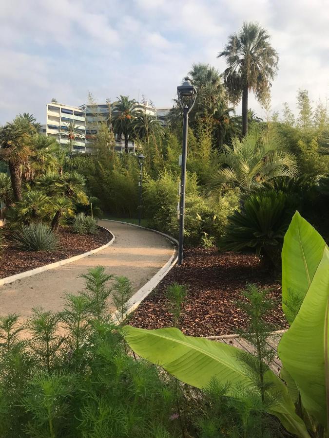 Tres Beau T2 Dans Parc Montfleury ,proche Centre ,au Calme 44 Bd Montfleury Cannes