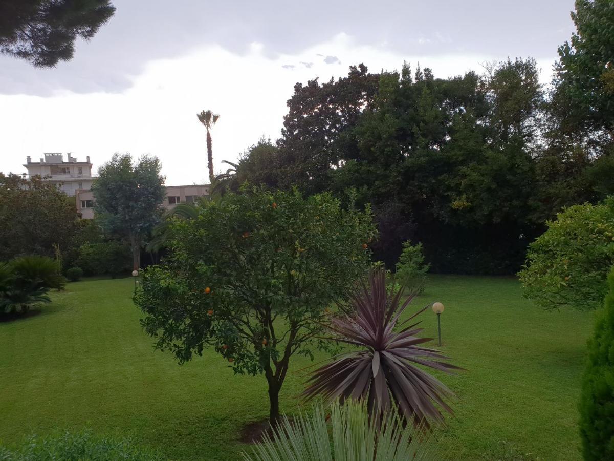 Augusta * Cannes