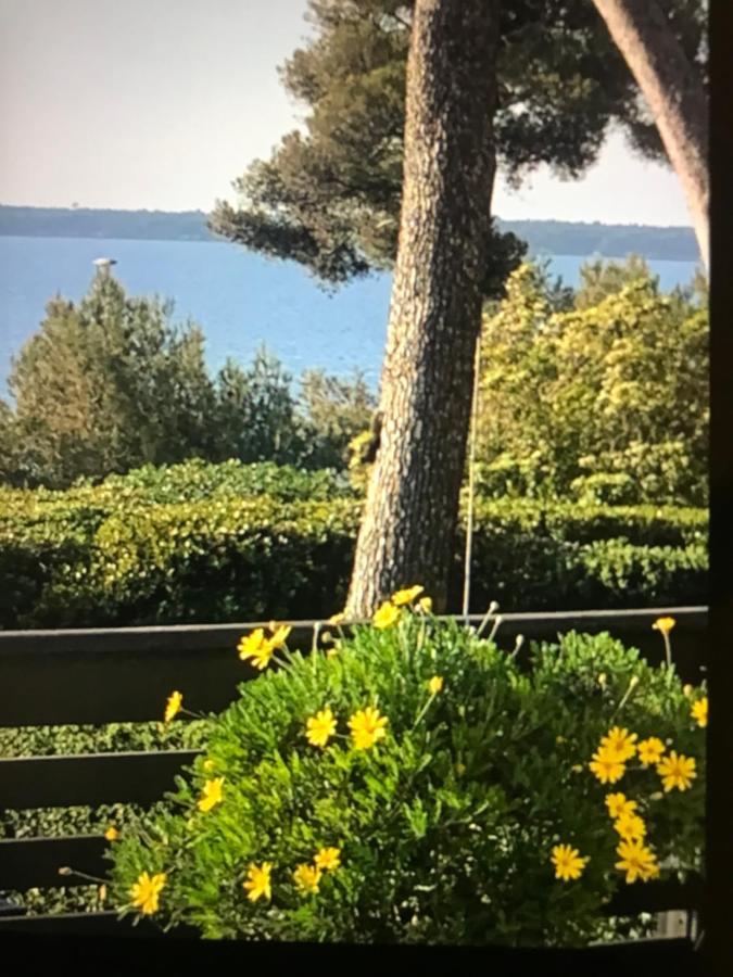 Casa Dade * Cannes