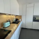 Cannes, appartement avec parking+terrasse, Croisette à pied!