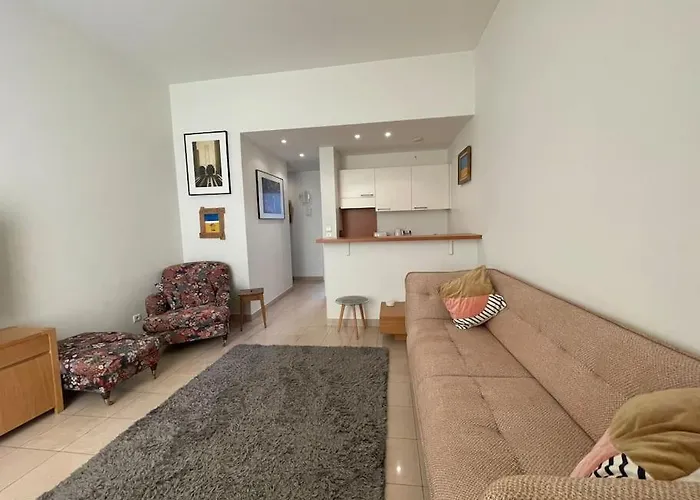 Gorgeous Apartment Cannes Croisette