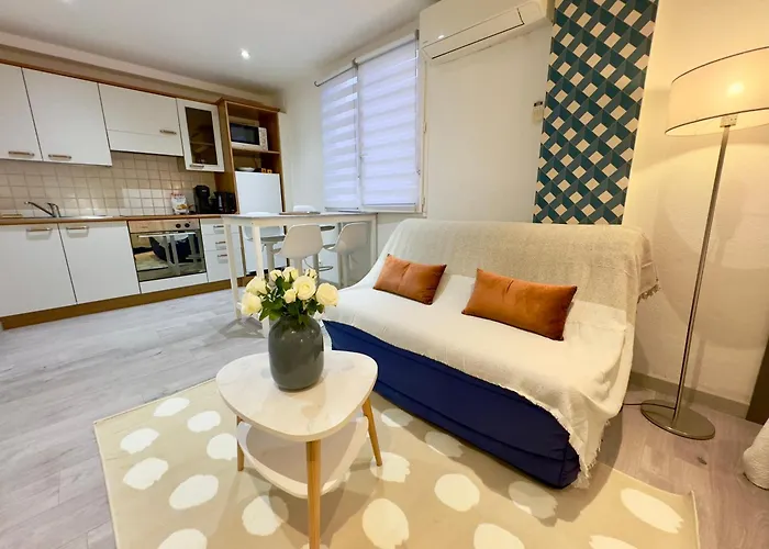 Grand Studio Confortable Au Coeur De Cannes